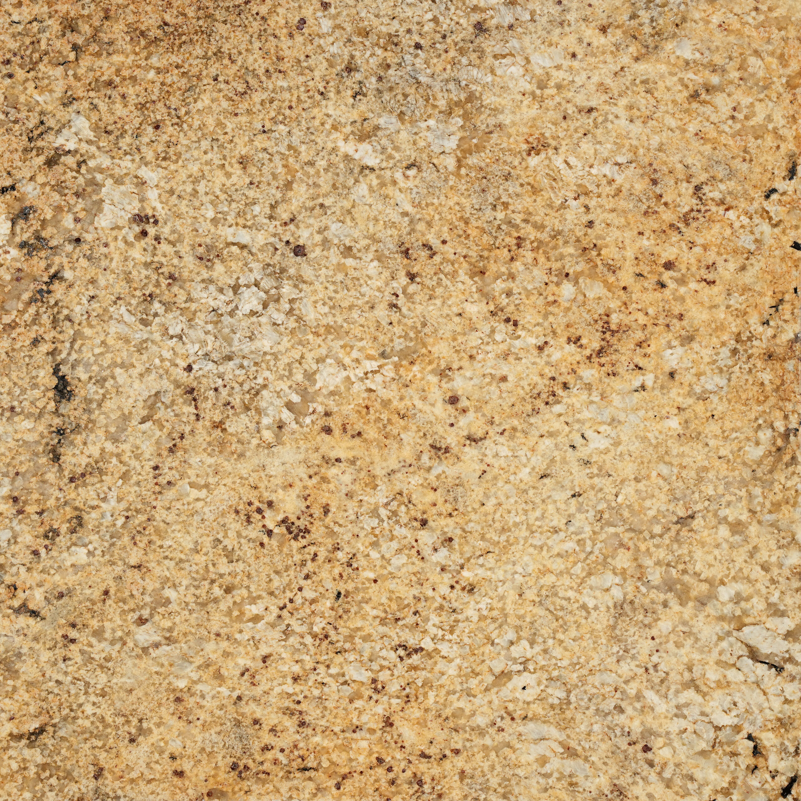 Colonial Gold granite vàng mật ong ấm áp, tinh thể kem và chấm nâu đỏ li ti. Hợp mặt bếp, bàn đảo, lát sàn, ốp tường. Liên hệ Vistones Global.